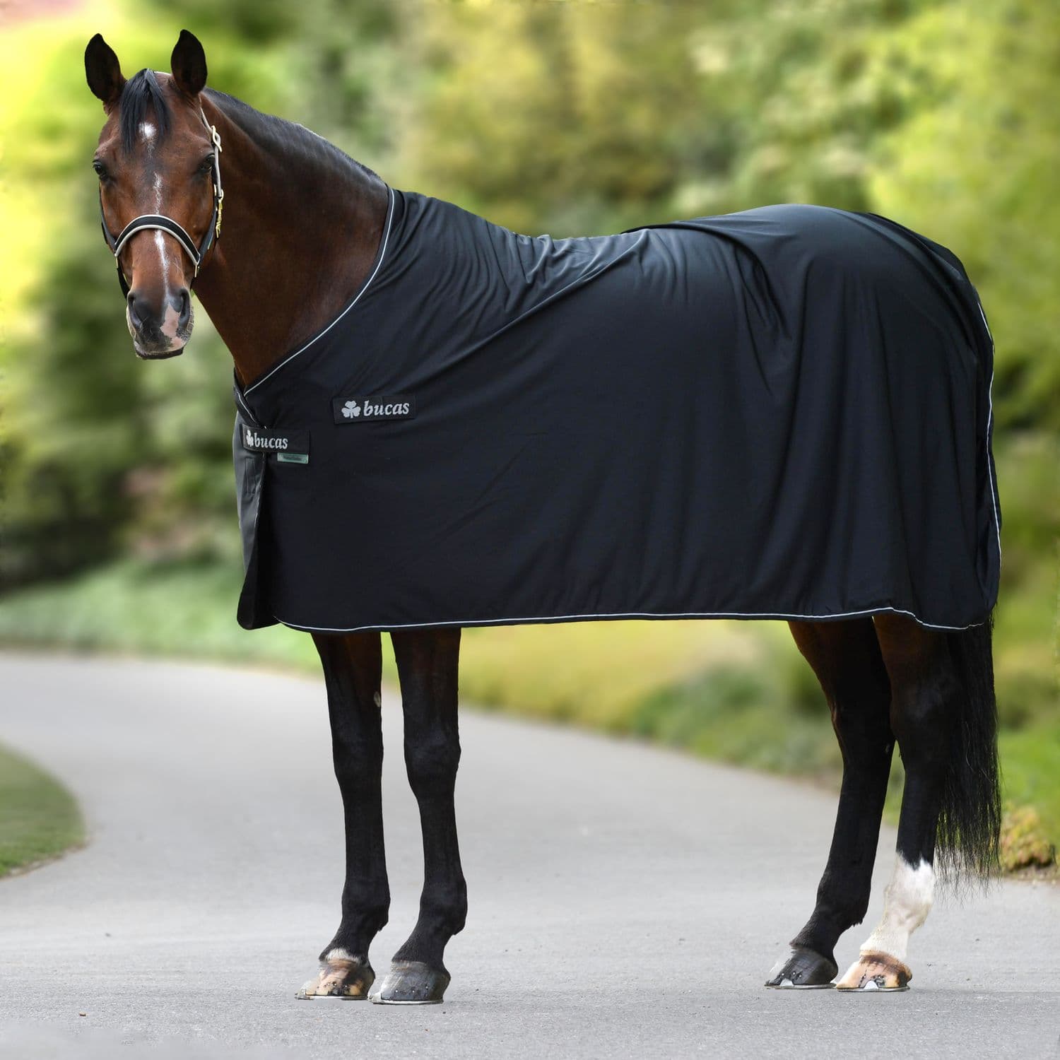 Bucas Panel Prize Cooler - Noir/Gris
