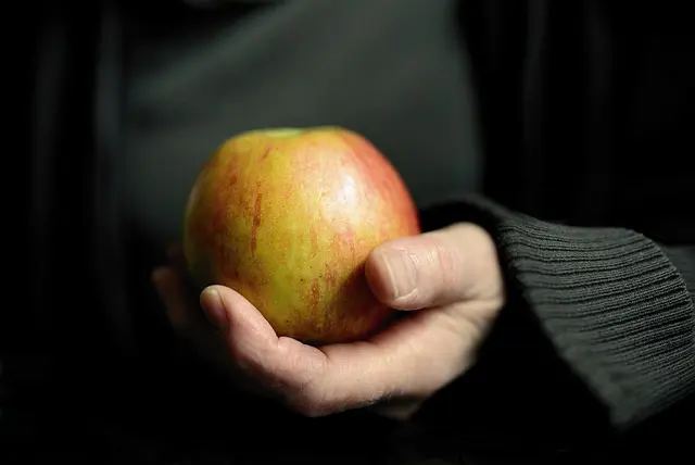 Comment concevoir un plan de nutrition vegan pour sportifs