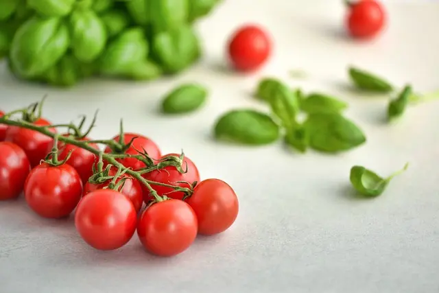 Comment adapter votre nutrition vegan avant une compétition
