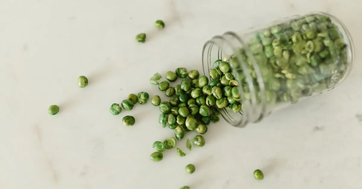 Comparatif : Whey protéine vs protéine de pois
