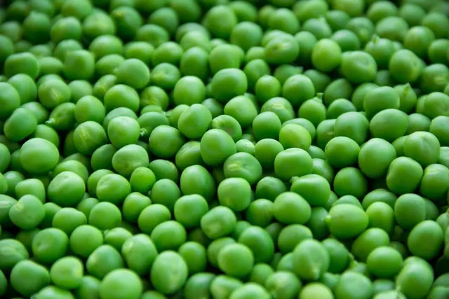 Comment adapter votre alimentation vegan avant une compétition