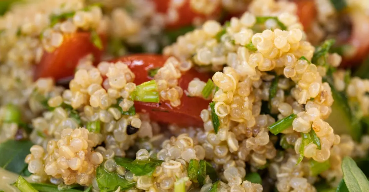 10 recettes vegan riches en protéines pour les sportifs