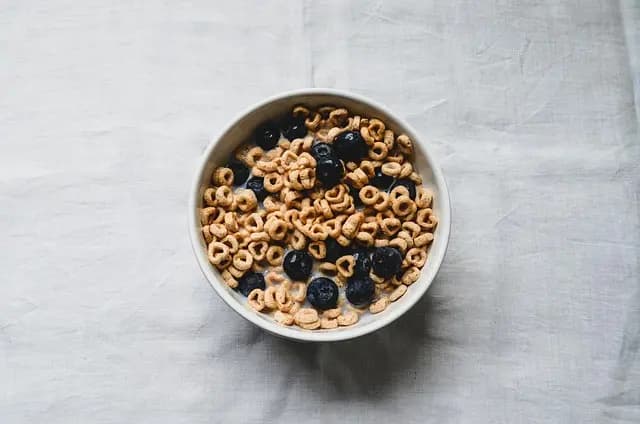 Les meilleures recettes de repas vegan pour optimiser vos performances