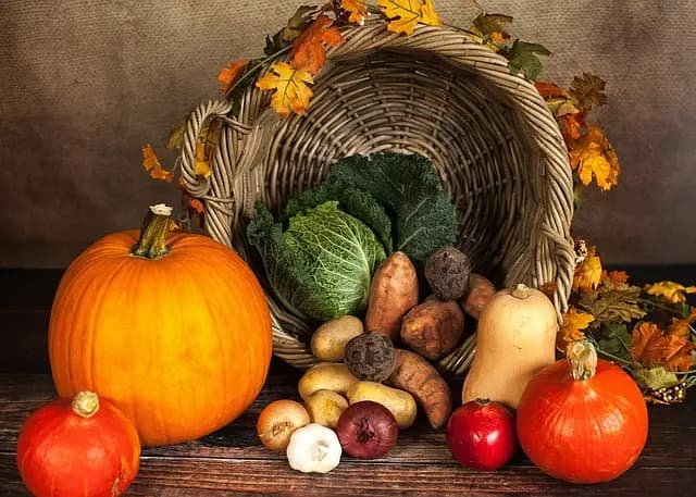 Les meilleures légumineuses pour les athlètes vegans
