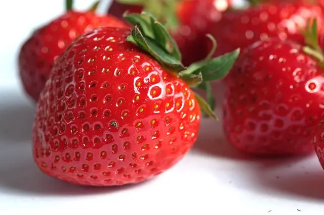 Top 10 des acides aminés essentiels pour les sportifs vegans