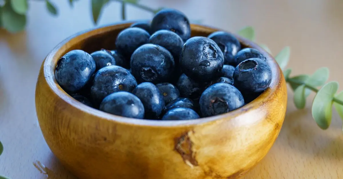 Quelle influence a le régime vegan sur la santé osseuse ?