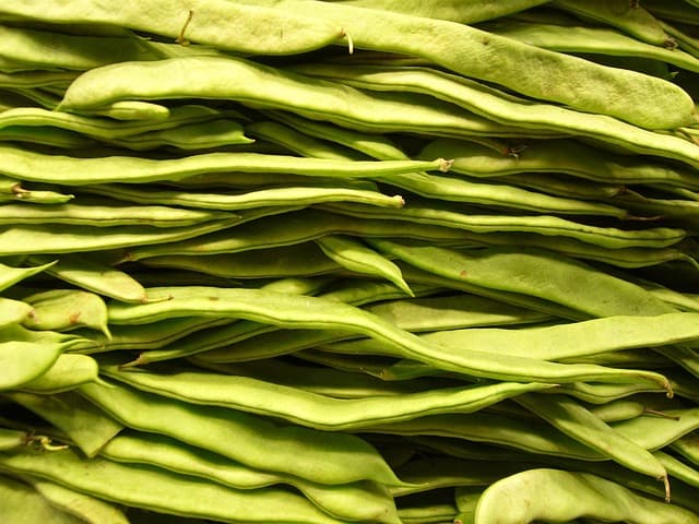 Les bienfaits de la nutrition vegan sur la performance sportive